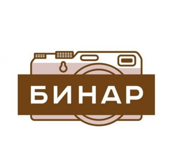 Логотип компании «Бинар»