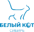 Логотип компании Кот Волшебник