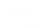 Логотип компании Videogames