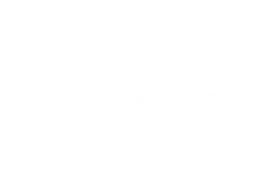 Логотип компании Карат