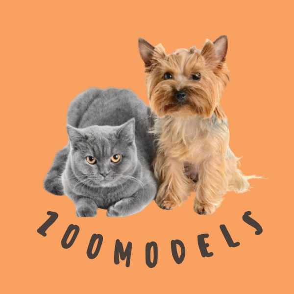 Логотип компании ZooModels
