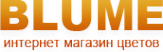 Логотип компании Blume