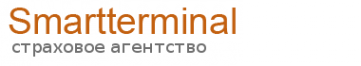 Логотип компании Smartterminal.ru