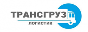 Логотип компании ТРАНСГРУЗ ЛОГИСТИКА