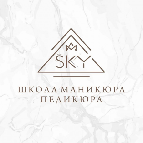 Логотип компании Sky Nail School»