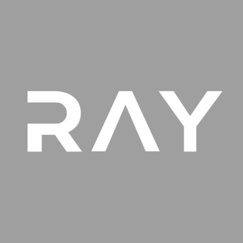 Логотип компании RAY