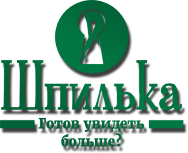 Логотип компании Шпилька