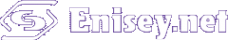 Логотип компании Enisey.net