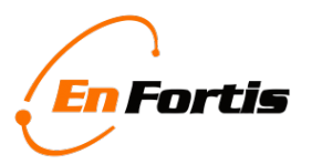 Логотип компании Энфортис