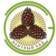 Логотип компании Элитный сад