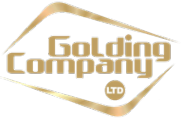 Логотип компании ГОЛДИНГ
