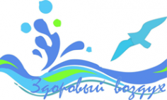 Логотип компании Здоровый воздух