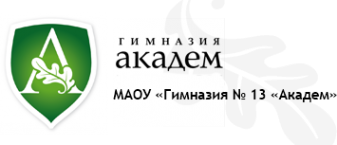 Логотип компании Академ