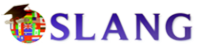 Логотип компании Slang