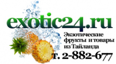 Логотип компании Exotic24.ru