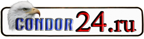Логотип компании CONDOR24
