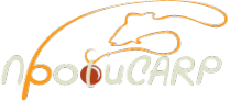 Логотип компании ПрофиCarp