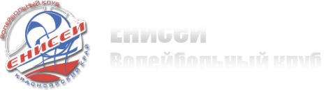 Логотип компании Енисей